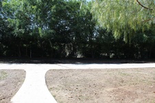 Enlarge photo 96
