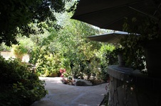Enlarge photo 92