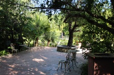 Enlarge photo 87