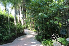 Enlarge photo 88