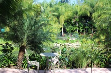Enlarge photo 82