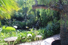 Enlarge photo 84