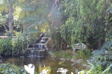 Enlarge photo 80