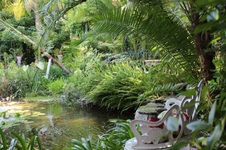 Enlarge photo 81