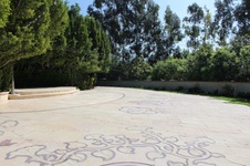 Enlarge photo 78