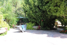 Enlarge photo 79
