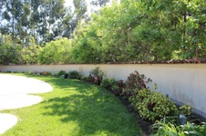Enlarge photo 75