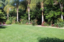 Enlarge photo 65