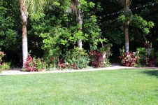 Enlarge photo 61