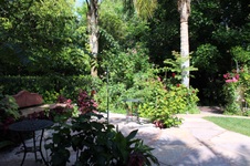 Enlarge photo 62