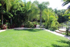 Enlarge photo 63