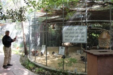 Enlarge photo 59