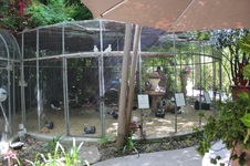 Enlarge photo 56