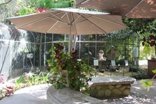 Enlarge photo 57