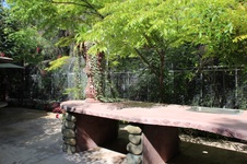 Enlarge photo 52