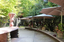 Enlarge photo 53