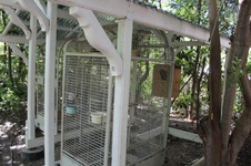 Enlarge photo 49