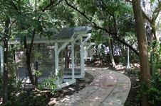 Enlarge photo 44