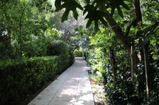 Enlarge photo 45
