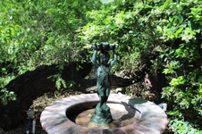 Enlarge photo 46
