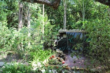 Enlarge photo 40