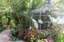 Enlarge photo 41