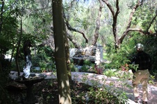 Enlarge photo 43