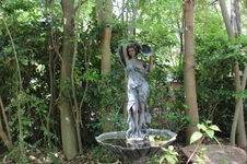 Enlarge photo 104