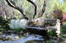 Enlarge photo 39