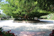 Enlarge photo 7