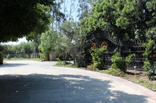 Enlarge photo 4