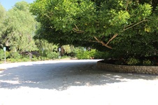 Enlarge photo 5