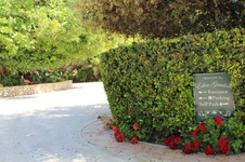 Enlarge photo 102