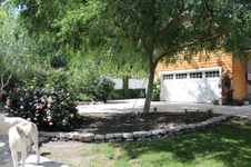 Enlarge photo 32