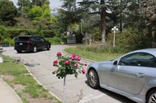 Enlarge photo 14