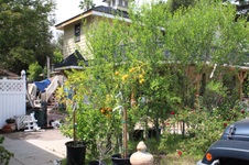 Enlarge photo 10