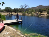 Enlarge photo 108