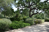 Enlarge photo 29