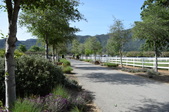 Enlarge photo 32