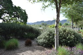 Enlarge photo 33