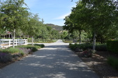 Enlarge photo 36