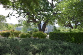 Enlarge photo 37