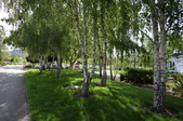 Enlarge photo 39
