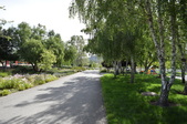 Enlarge photo 40