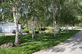 Enlarge photo 43