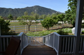 Enlarge photo 76