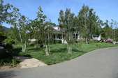 Enlarge photo 92