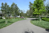 Enlarge photo 93