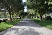 Enlarge photo 96