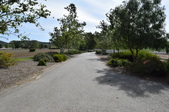 Enlarge photo 97